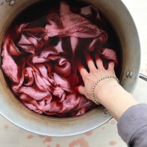 Dyeing with avocados